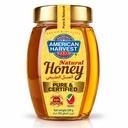 AH Honey Hexa Jar(24x250g)