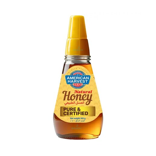 AH Honey Squeeze Bottle (12x400g)