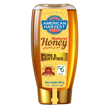AH Honey Squeeze Bottle(12x500g)